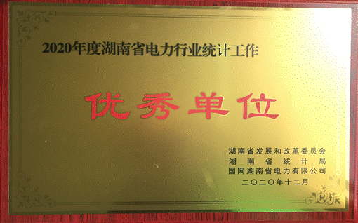 乐动株洲航电分乐动荣获“2020年度湖南省电力行业统计优秀单位”称号